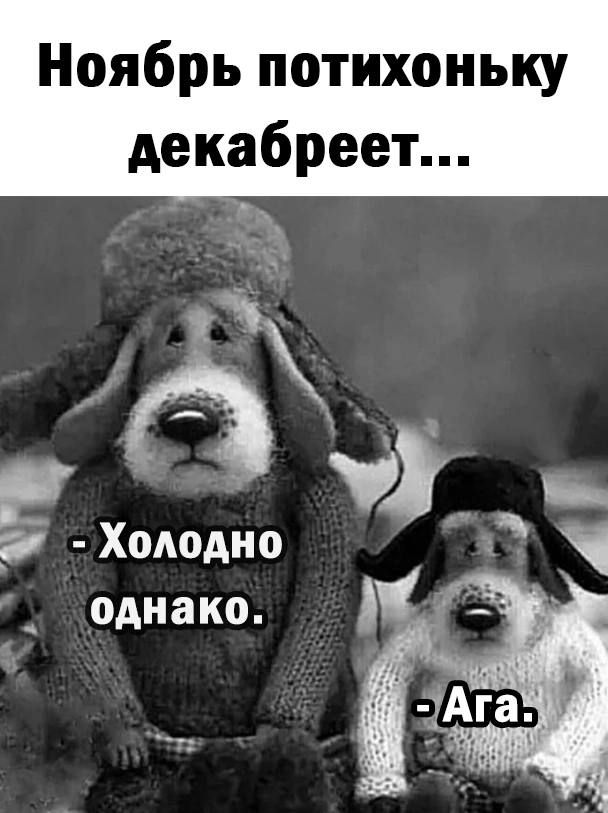 Ноябрь потихоньку декабреет Хододно _ однако
