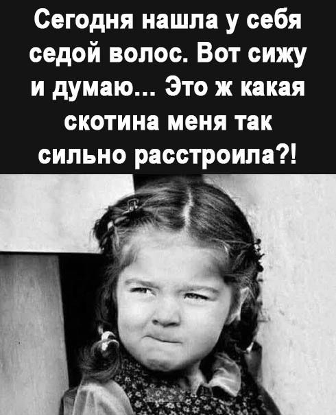 Сегодня нашпа у себя седой волос Вот сижу и думаю Это ж какая скотина меня так сильно расстроила