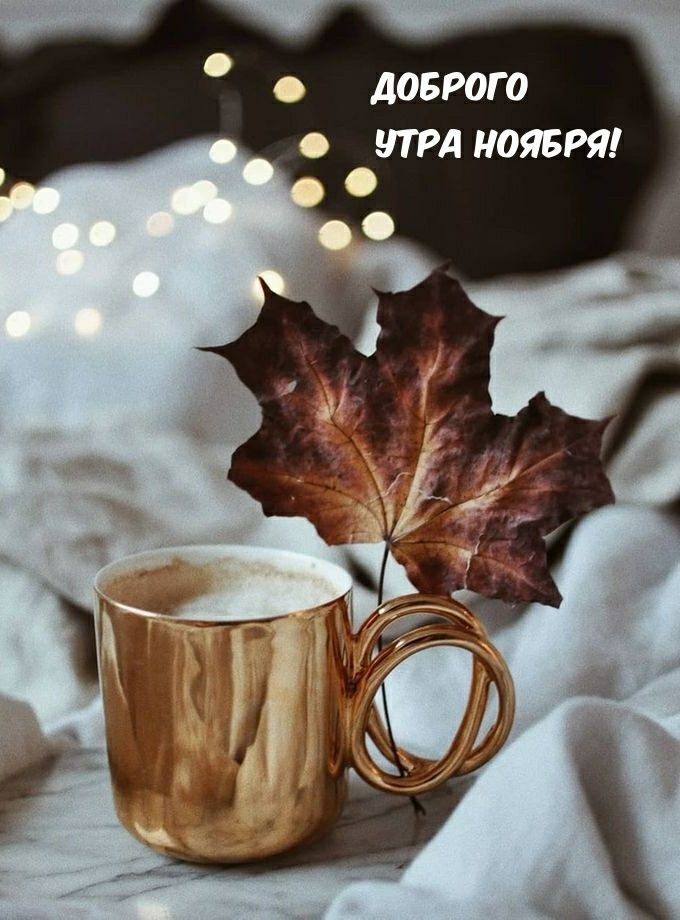 ДОБРОГО УТРА НОЯБРЯ