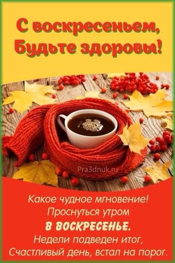 Зчупччугг гт ч ащд іаі4ь Какое читов мгвояж 0 7700 Нетали подведен ит Счет день июл на порт