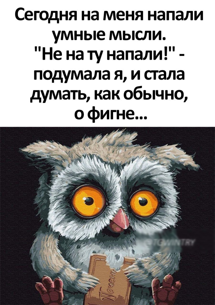 Сегодня на меня напали умные мысли Не на ту напали подумала я и сгала думать как обычно 0 фигне