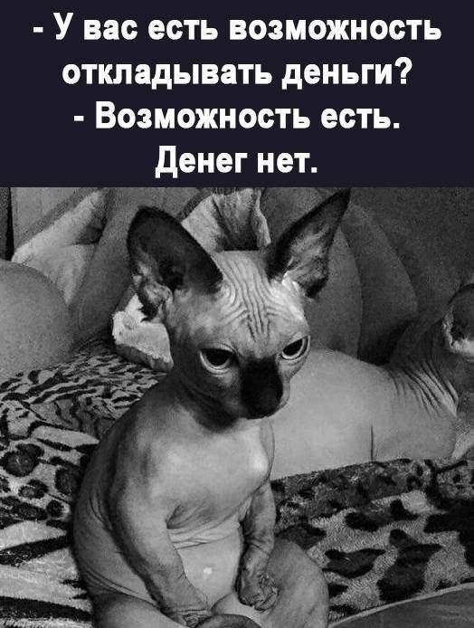 У вас есть возможность откледывять деньги Возможность есть денег нет 775 а