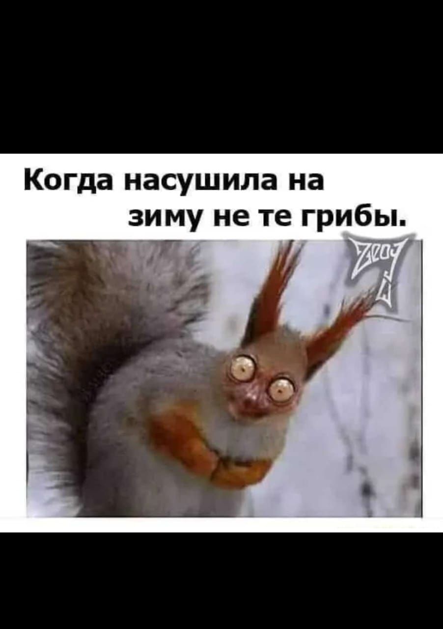 Когда насушила на зиму не те грибь _ 25