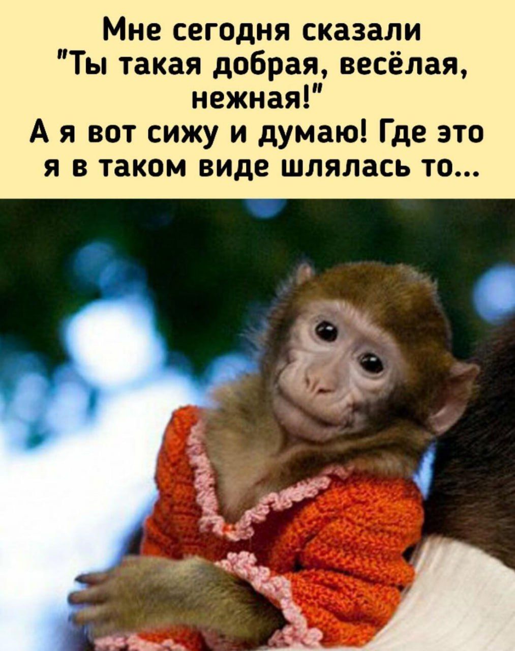 Мне сегодня сказали Ты такая добрая весёлая нежная А я вот сижу и думаю Где это я в таком виде шлялась то
