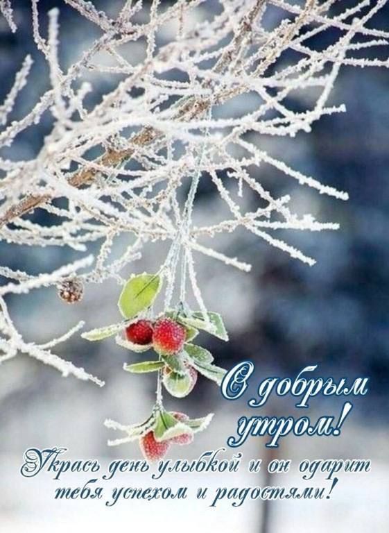 бутлили _ущуш шут урт Л тийлаги ііуЛЛИ П