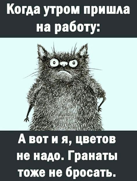 Когда утром пришла на работу А вот и я цветов не надо Гранаты тоже не бросать