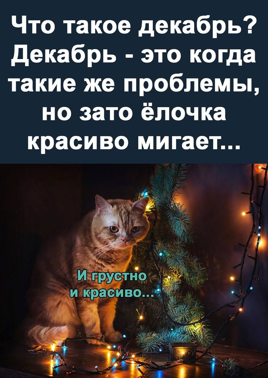 Что такое декабрь декабрь это когда такие же проблемы но зато ёлочка красиво мигает