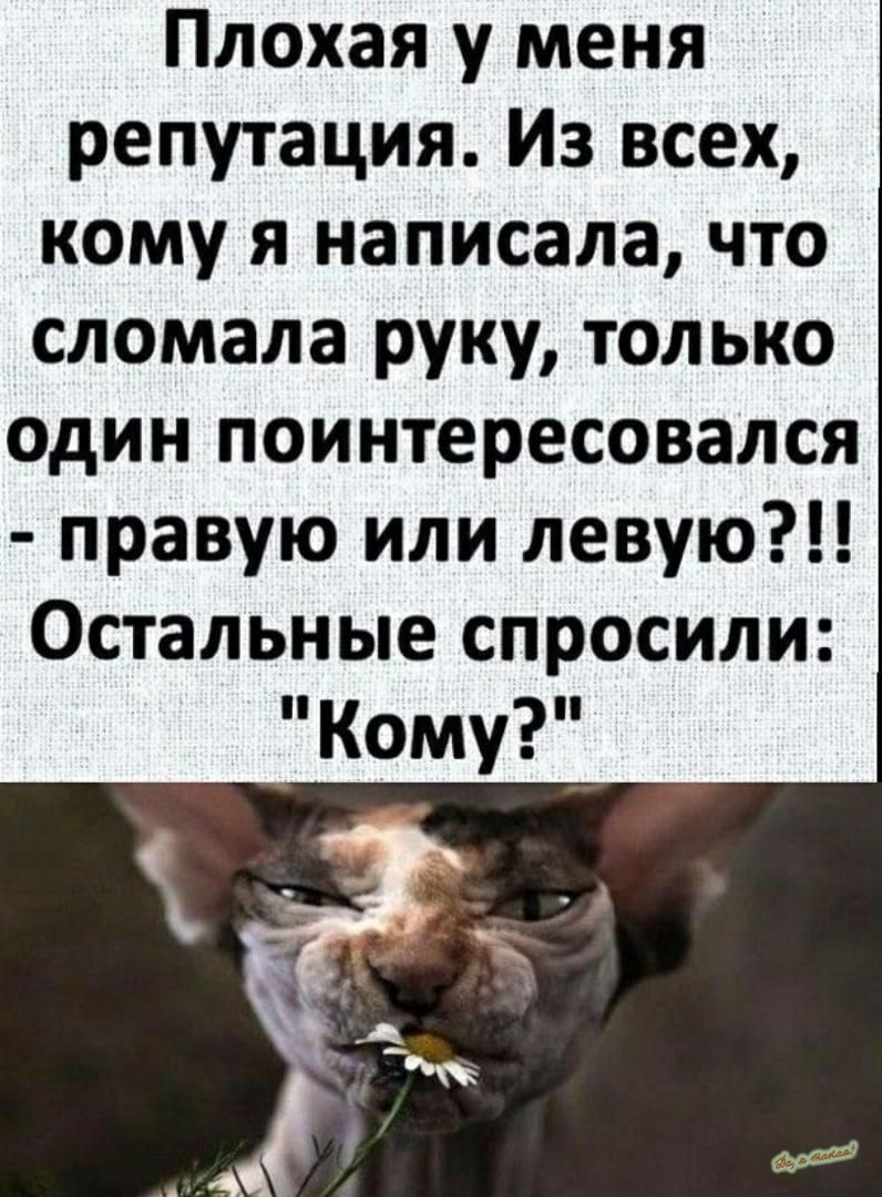Плохая у меня репутация Из всех кому я написала что сломала руку только один поинтересовался правую или левую Остальные спросили кому