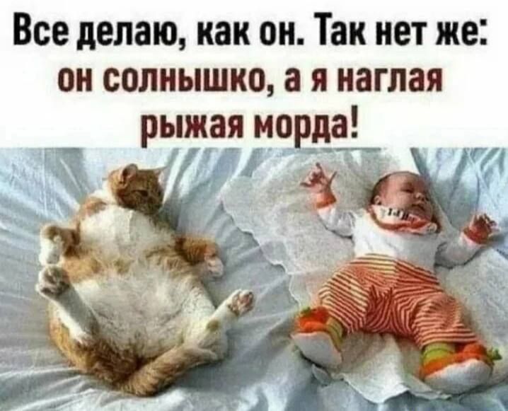Все делаю как он Так нет же он солнышко а я наглая рыжая морда