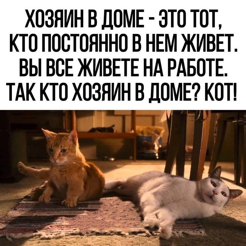 ХОЗЯИН В ДОМЕ ЭТО ТОТ КТО ПООТОНННО В НЕМ ЖИВЕТ ВЫ ВОЕ ЖИВЕТЕ НА РАБОТЕ ТАК КТО ХОЗЯИН В ДОМЕ КОТ