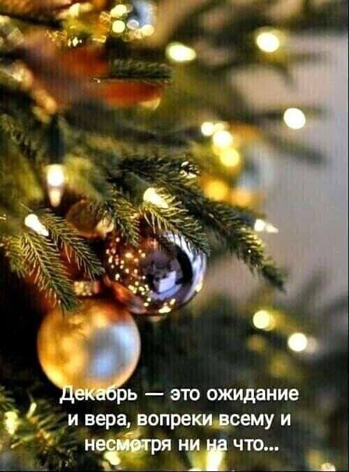 ь это ожидание и вера_ вопрекидсему и _ неевігряни чта