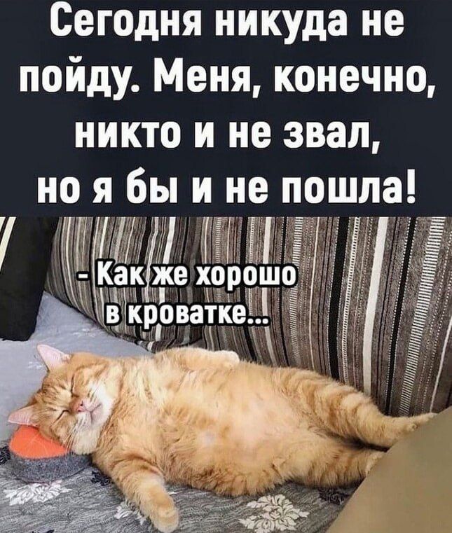 Сегодня никуда не пойду Меня конечно никто и не звал но я бы и не п шна кроватке