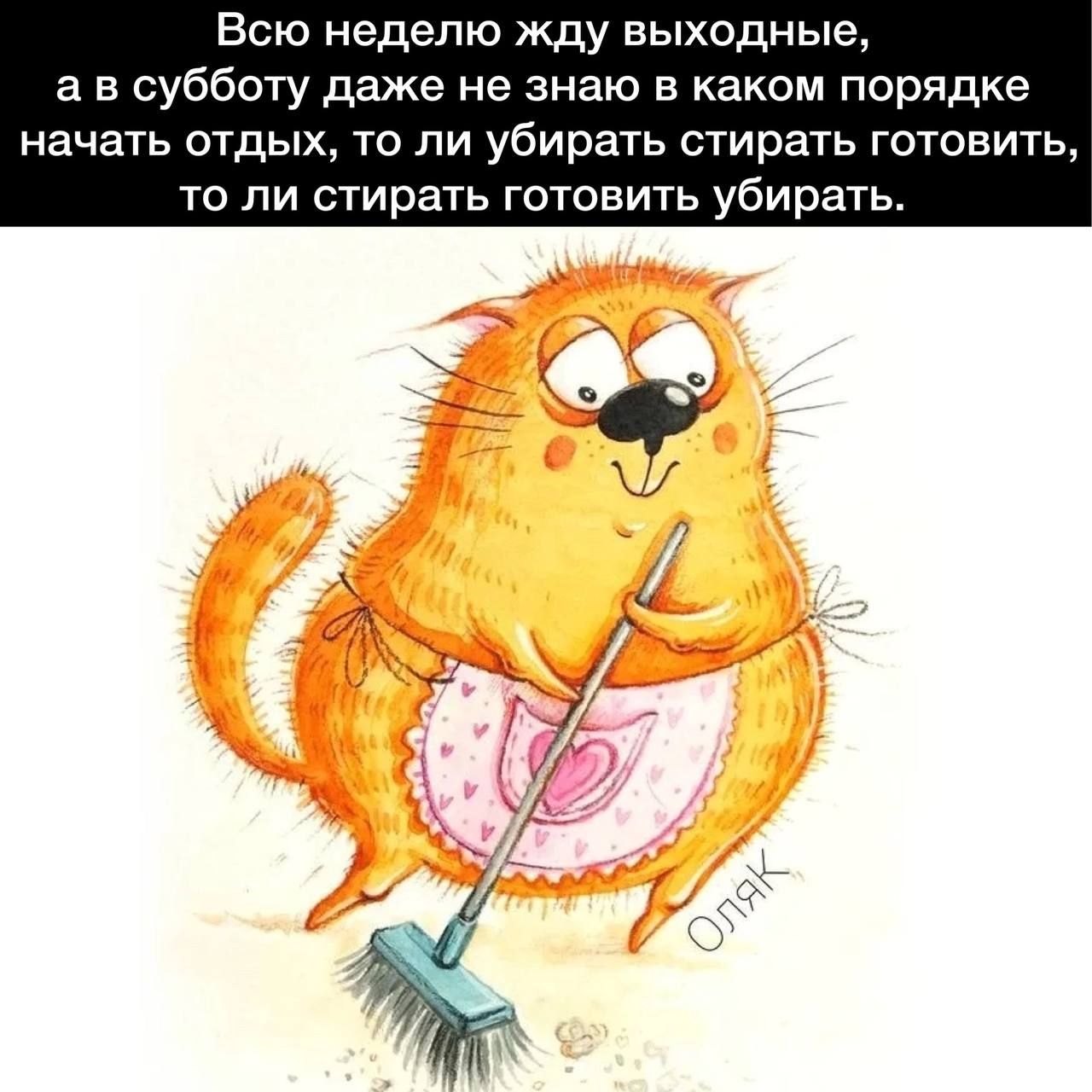 Всю неделю жду выходные а в субботу даже не знаю в каком порядке начать ОТДЫХ ТО ЛИ убирать стирать ГОТОВИТЬ то ли стирать готовить убирать