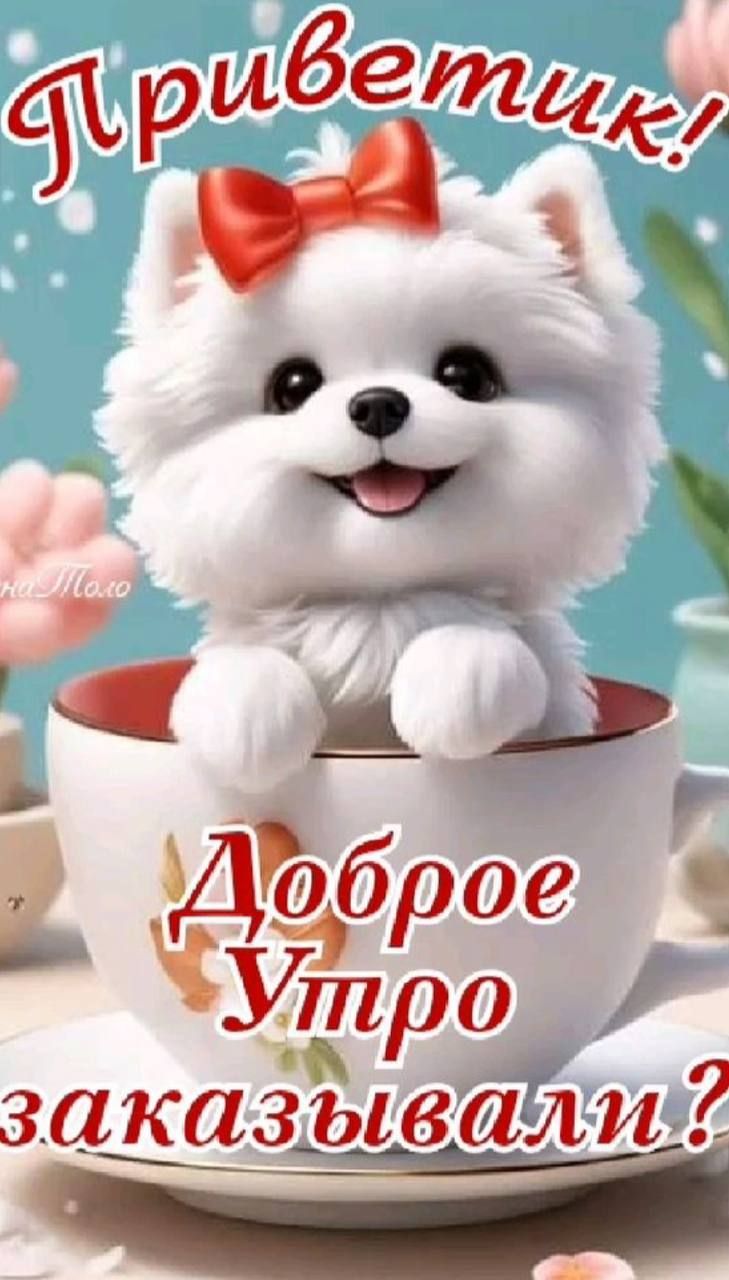 заказывади 7 _