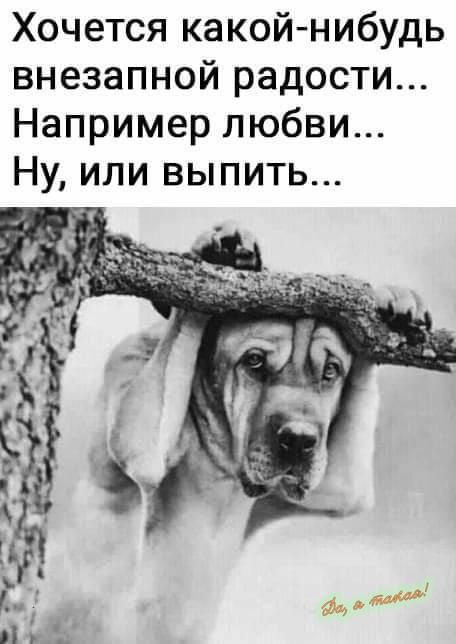 Хочется какой нибудь внезапной радости Например любви Ну или выпить