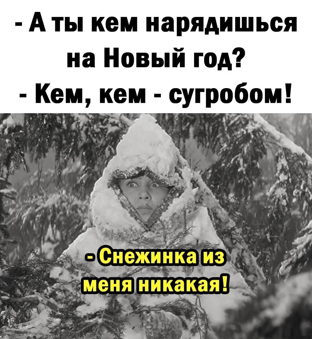 А ты кем нарядишься на Новый год Кем кем сугробам _