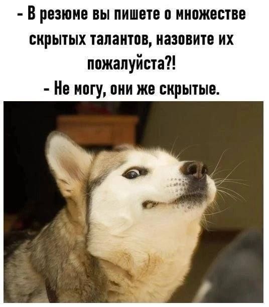 В РЕЗЮМЕ ВЫ ПИШЕТЕ 0 ИИПЖЕВТВЕ скрытых тапаитпв назовите их пожалуйста Не могу ими же скрытые