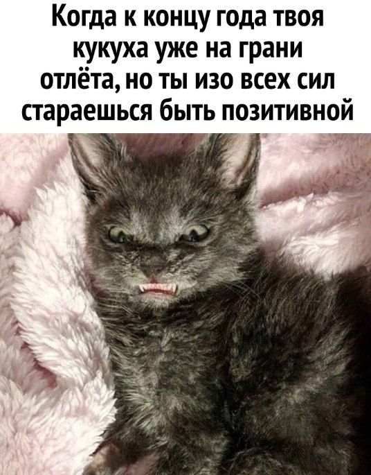 Когда к концу года твоя кукуха уже на грани отлёта но ты изо всех сил стараешься быть позитивной