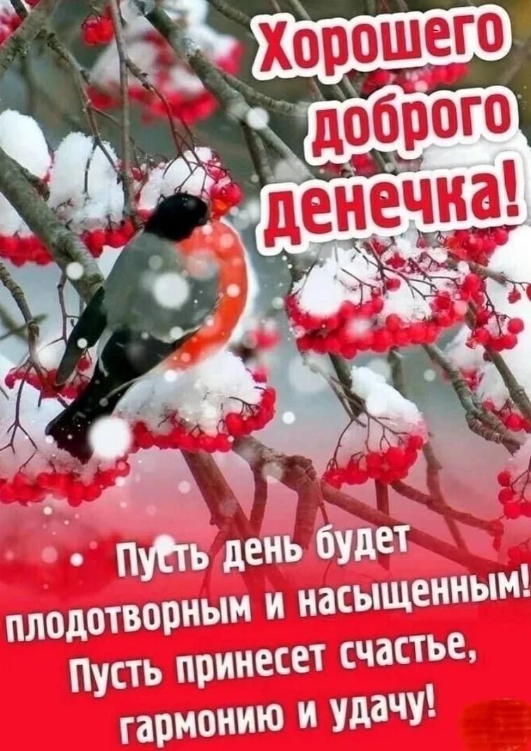 __ ПРЛНЙЁЮЁЦЁЁГЁП чшпнщшщы пёщпщщинжті ішгпг птица ч шт хинидина эт