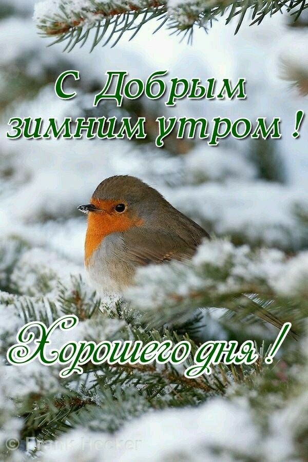 ив Дбрым ь ЗИМ ттрод