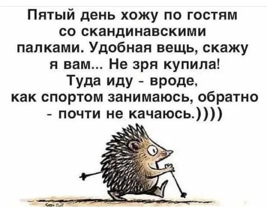 Пятый день хожу по гостям со скандинавскими палками Удобная вещь скажу я вам Не зря купила Туда иду вреде как спортом занимаюсь обратно почти не качаюсь