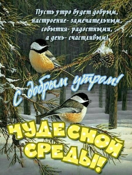 Пуптущп длин дві икп младшими ЁчФщё ибитил уцитиижШС адшг тішив и А _