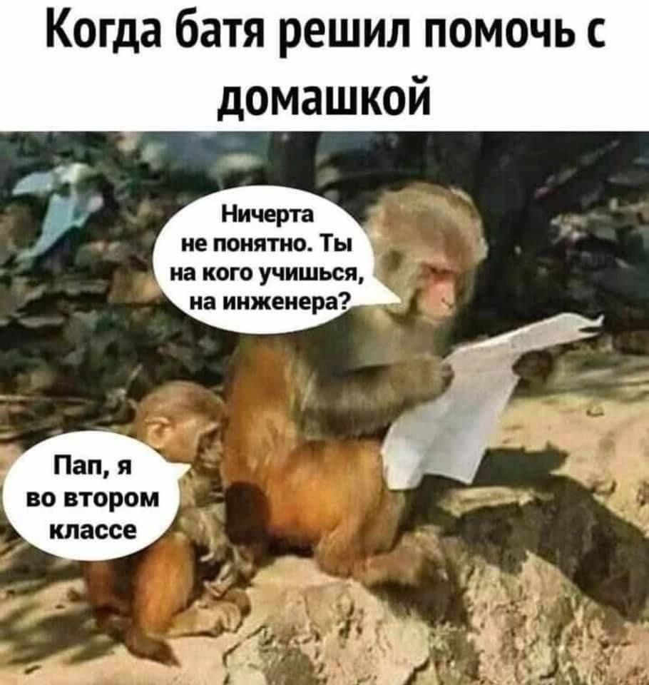 Когда батя решил помочь с домашкой Ничерта _ не тиятжъ Ты на кого учишься и нижним Пап я во втором клнссе