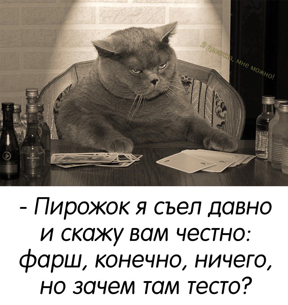 Пирожок я съел давно и скажу вам честно фарш конечно ничего но зачем там тесто