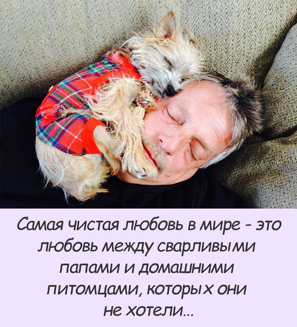 Самая чисшя любовь в мире это любовь между сварливыми папами и домашними питомшцми которых они не хотели