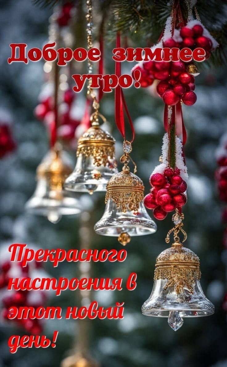 тему Луиш О 113 1