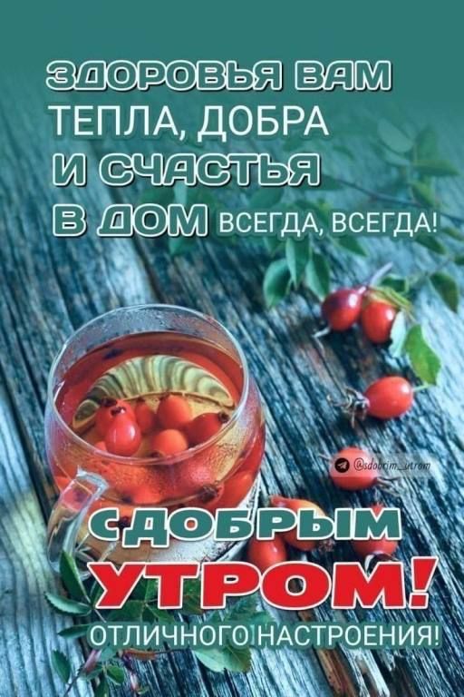 ТЕПЛА ДОБРА НОГСЛНАСТРОЕНИЯ ЖЪзЁ