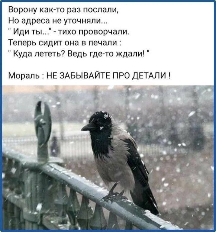 Ворону как то раз послали Но адреса не уточнили Иди ты тихо проворчапи Теперь сидит она в печали Куда лететь Ведь где то ждали Мораль НЕ ЗАБЫВАЙТЕ ПРО дЕТАПИ