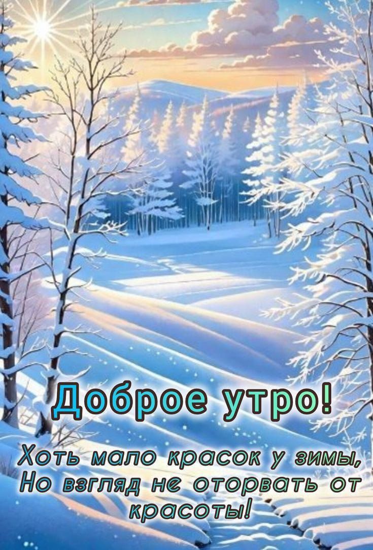 в Хоть майо красок у зимы Но взгляд не огорчать от крёсотні ый 1