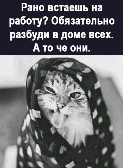 Рано встаешь на работу Обязательно разбуди в доме всех А то че они