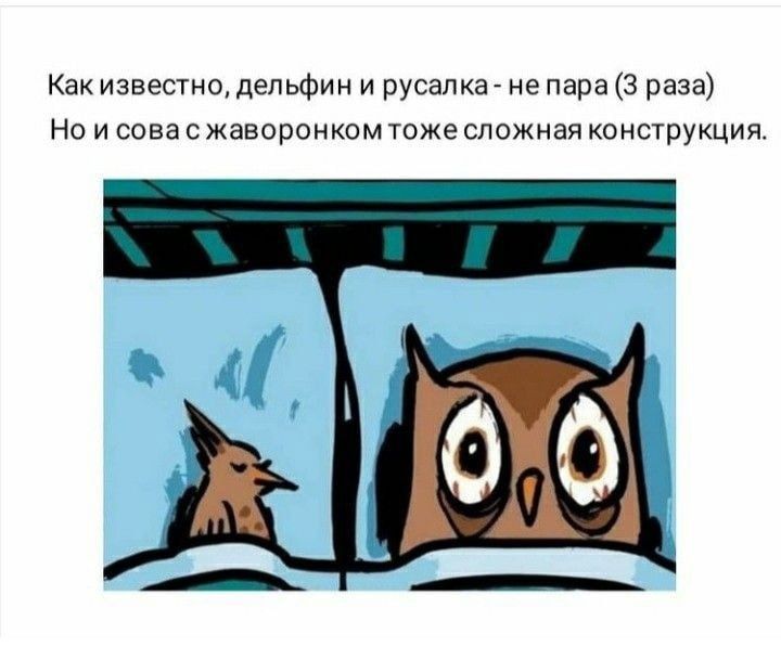 Как известицдепьфин и русалка не пара 3 раза Но и совасжаворонком гоже сложная конструкция