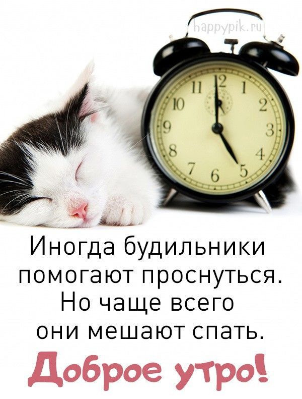 Иногда будильники помогают проснуться Но чаще всего они мешают спать Доброе утро