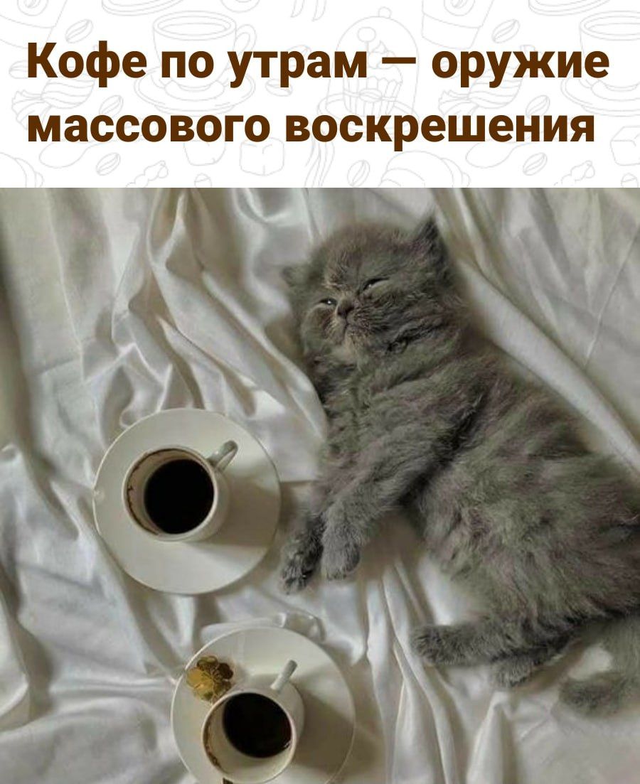 Кофе по утрам оружие массового воскрешения