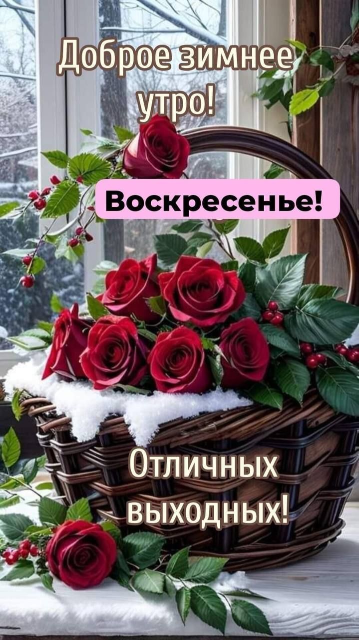 От тличных выходных