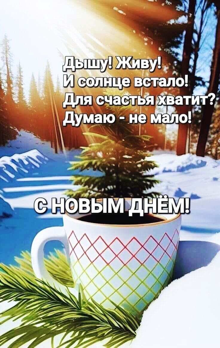 вуг37г Шпиц