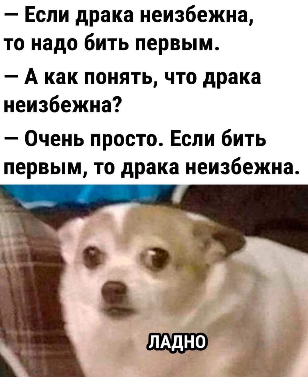 Если драка неизбежна то надо бить первым А как понять что драка неизбежна Очень просто Если бить первым то драка неизбежна