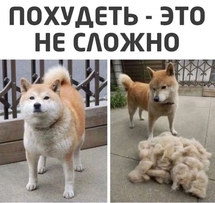 похудеть это не сложно