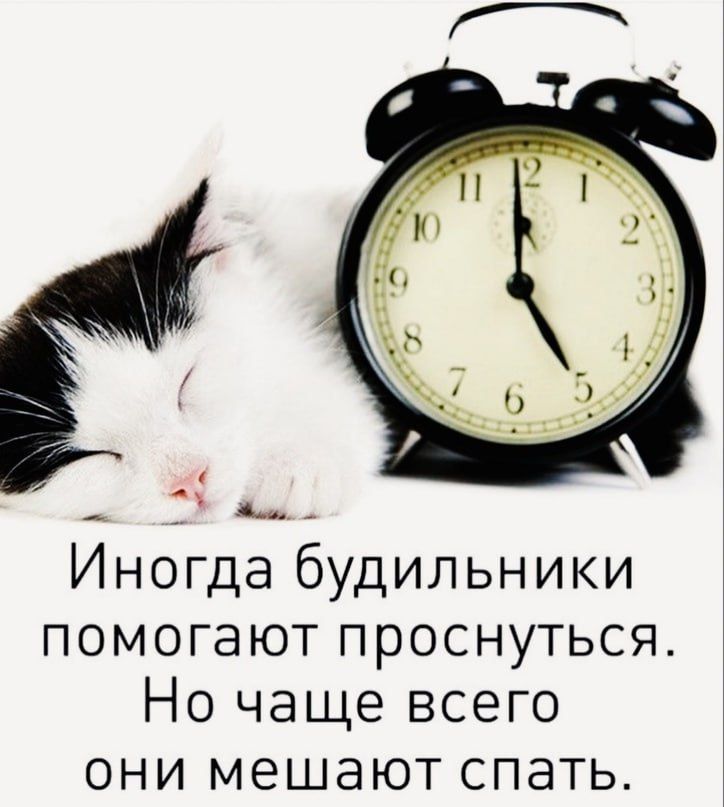 дъ Иногда будильники помогают проснуться Но чаще всего они мешают спать