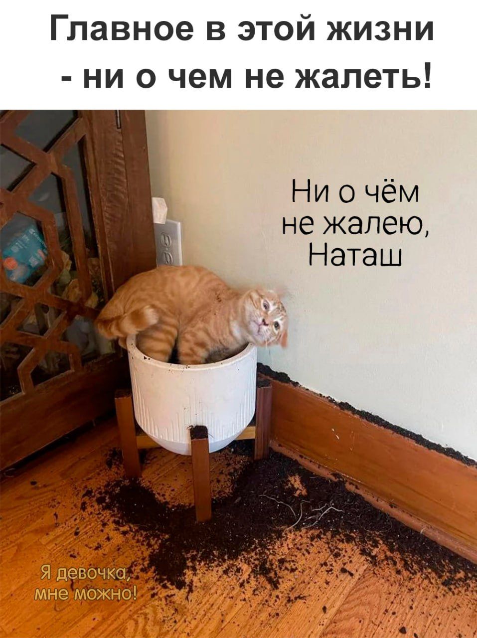 Главное В ЭТОЙ ЖИЗНИ НИ 0 чем не жалеть Ни о чём не жалею Неташ