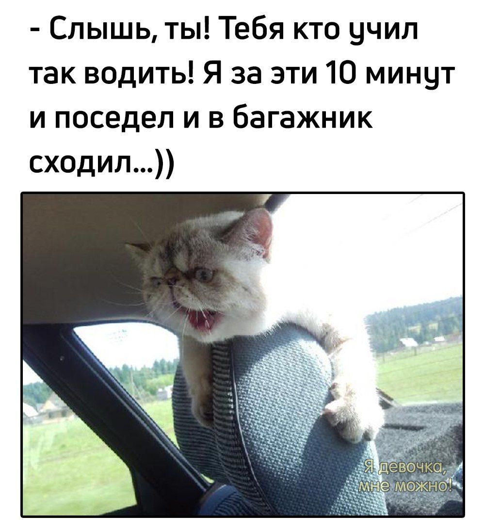 Слышь ты Тебя кто учил так водить Я за эти 10 минут и поседел и в багажник сходил