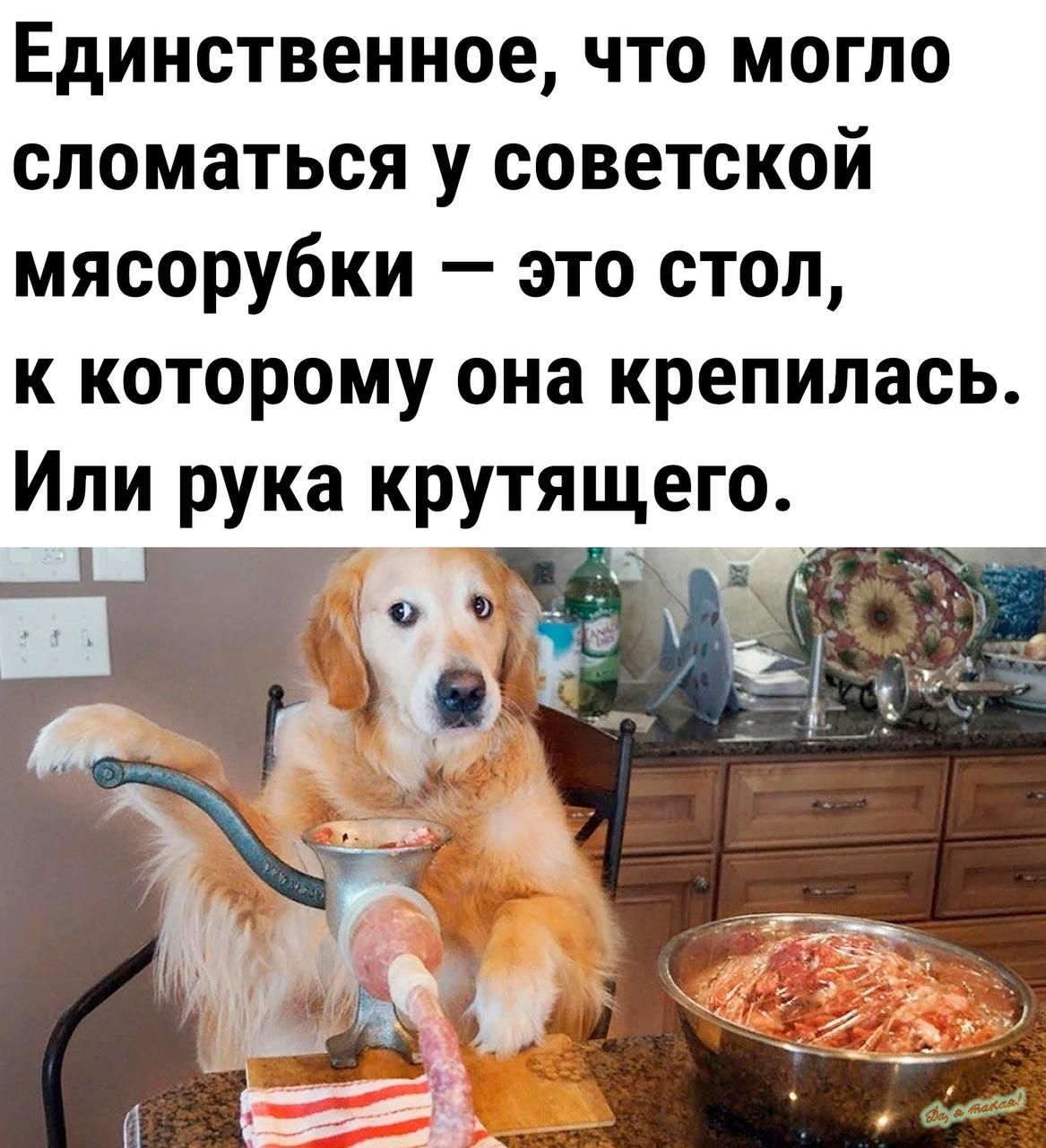 Единственное что могло сломаться у советской мясорубки это стол к которому она крепилась Или рука крутящего