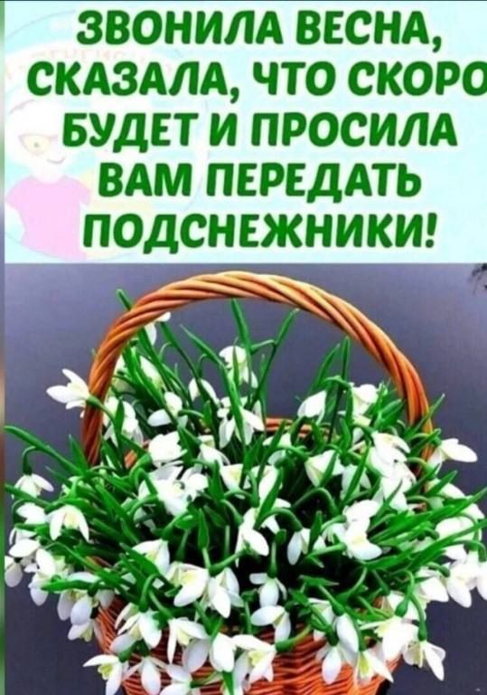 звонилд винд скдздлд что скор БУДЕТ И ПРОСИЛА ВАМ ПЕРЕДАТЬ ПОДСНЕЖНИКИ