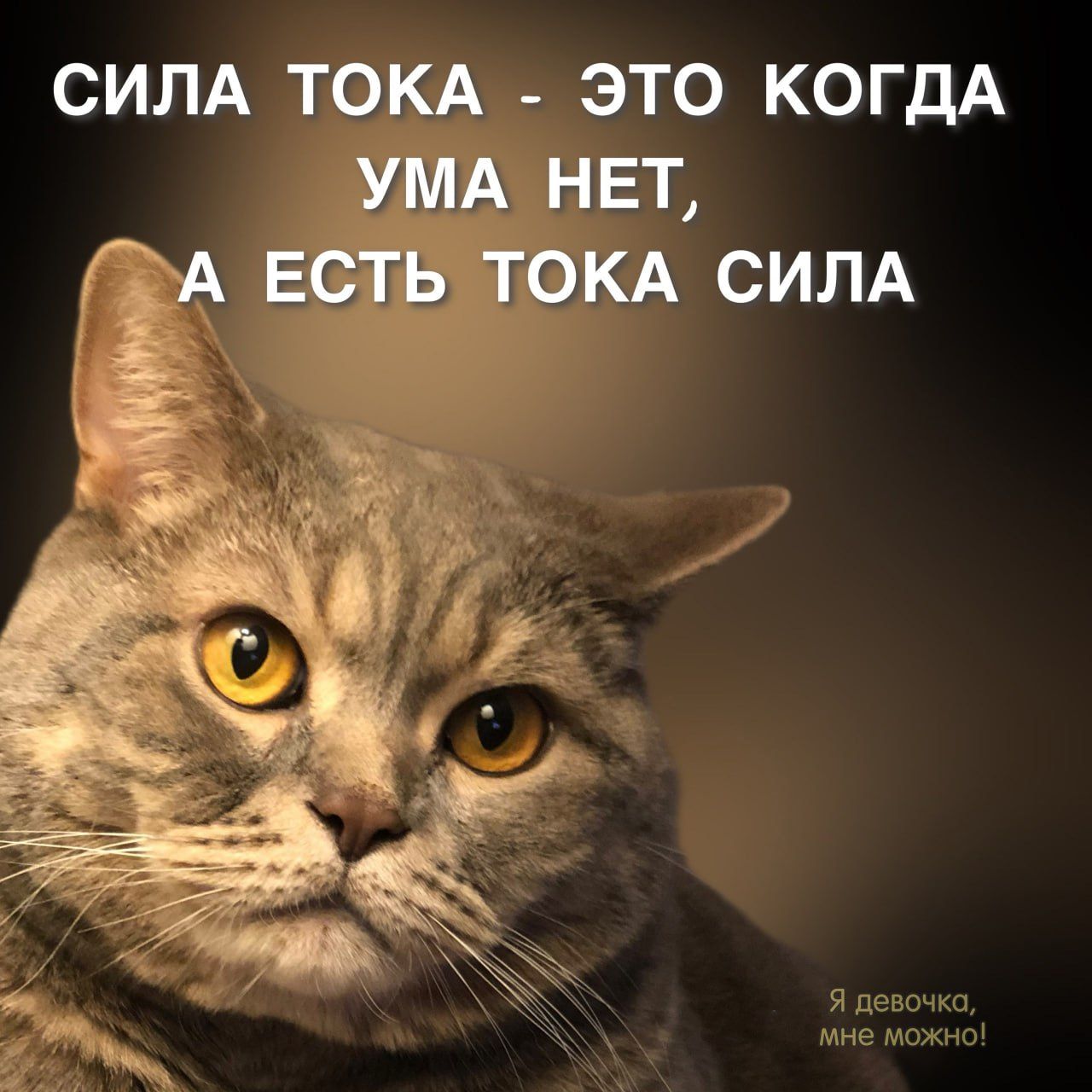 СИЛА ТФК ЭТО КОГДА