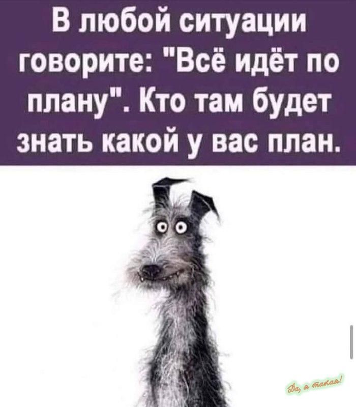 В любой ситуации говорите Всё идёт по плану Кто там будет знать какой у вас план