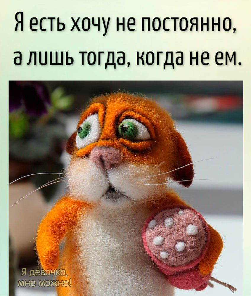 Я есть хочу не постоянно а лишь тогдакогда не ем