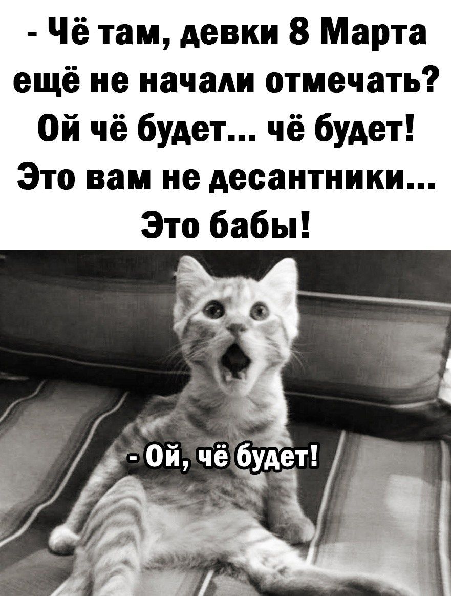 Чё там девки 8 Марта ещё не начали отмечать Ой чё будет чё будет Это вам не десантники Это бабы